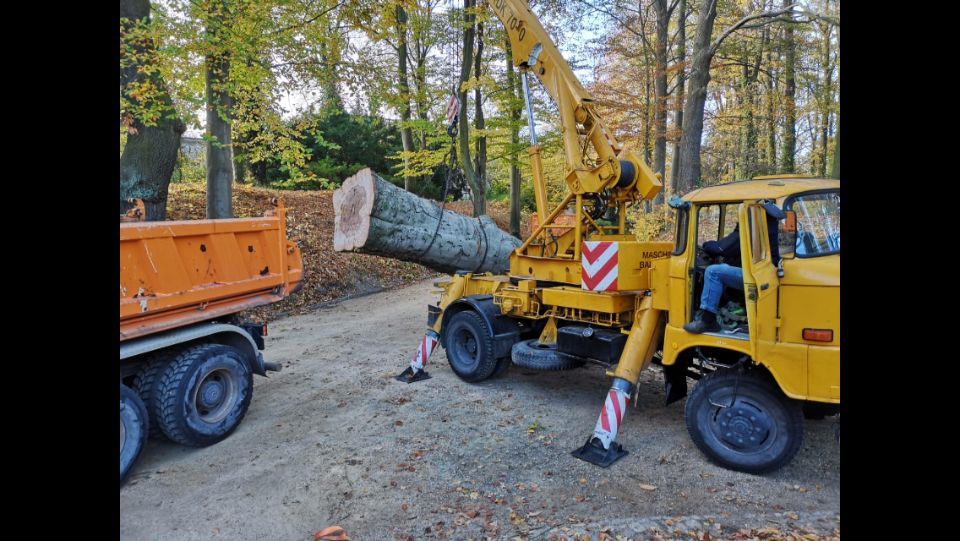 Kran im Einsatz um Baumstamm zu entsorgen
