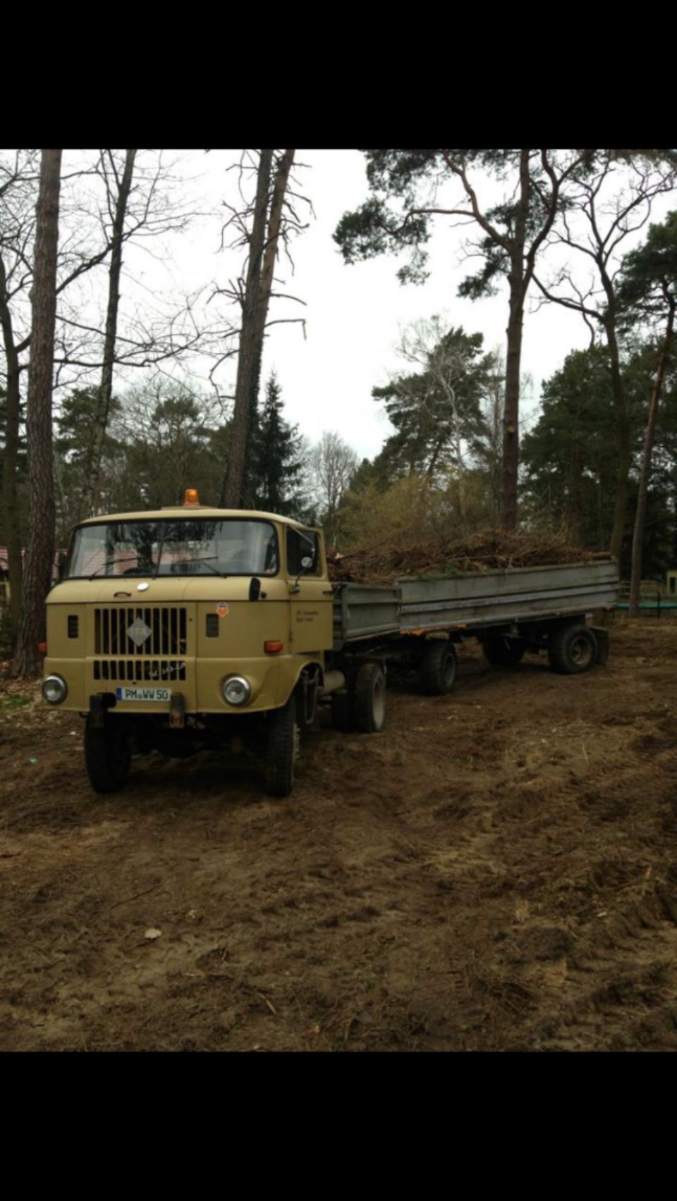 LKW beladen mit Gestrüpp
