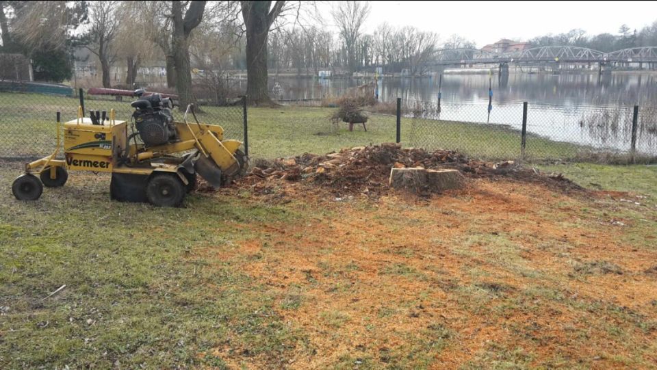 in einem Garten wird ein gefällter Baum abtransportiert