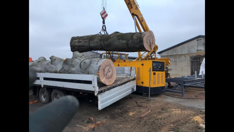 große und dicke Baumstämme werden auf eine LKW Ladefläche geladen