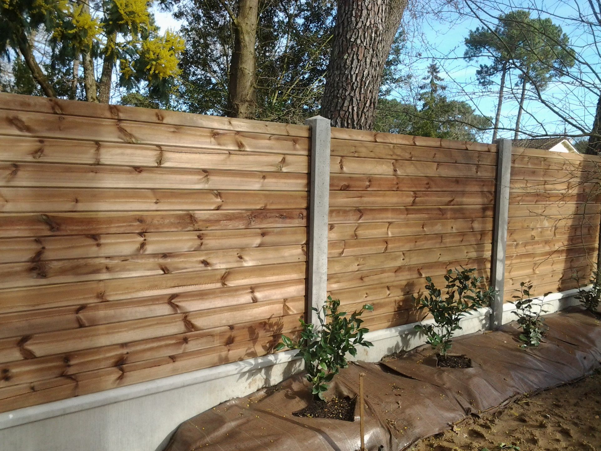 Clôture en bois avec poteaux en béton ; petites plantes devant.