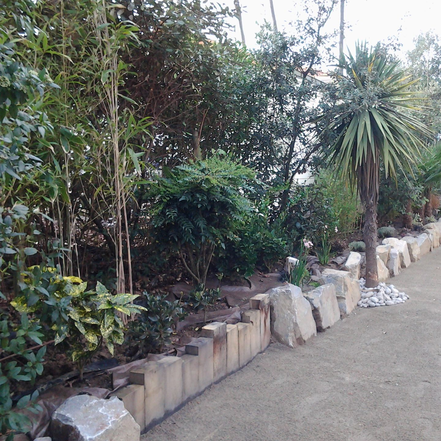 Un parterre de jardin avec diverses plantes et un mur de soutènement en pierre et en bois.