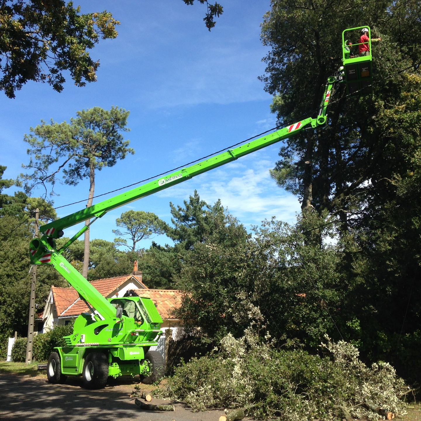 Nacelle élévatrice pour élaguer les arbres, débris au sol, journée ensoleillée.