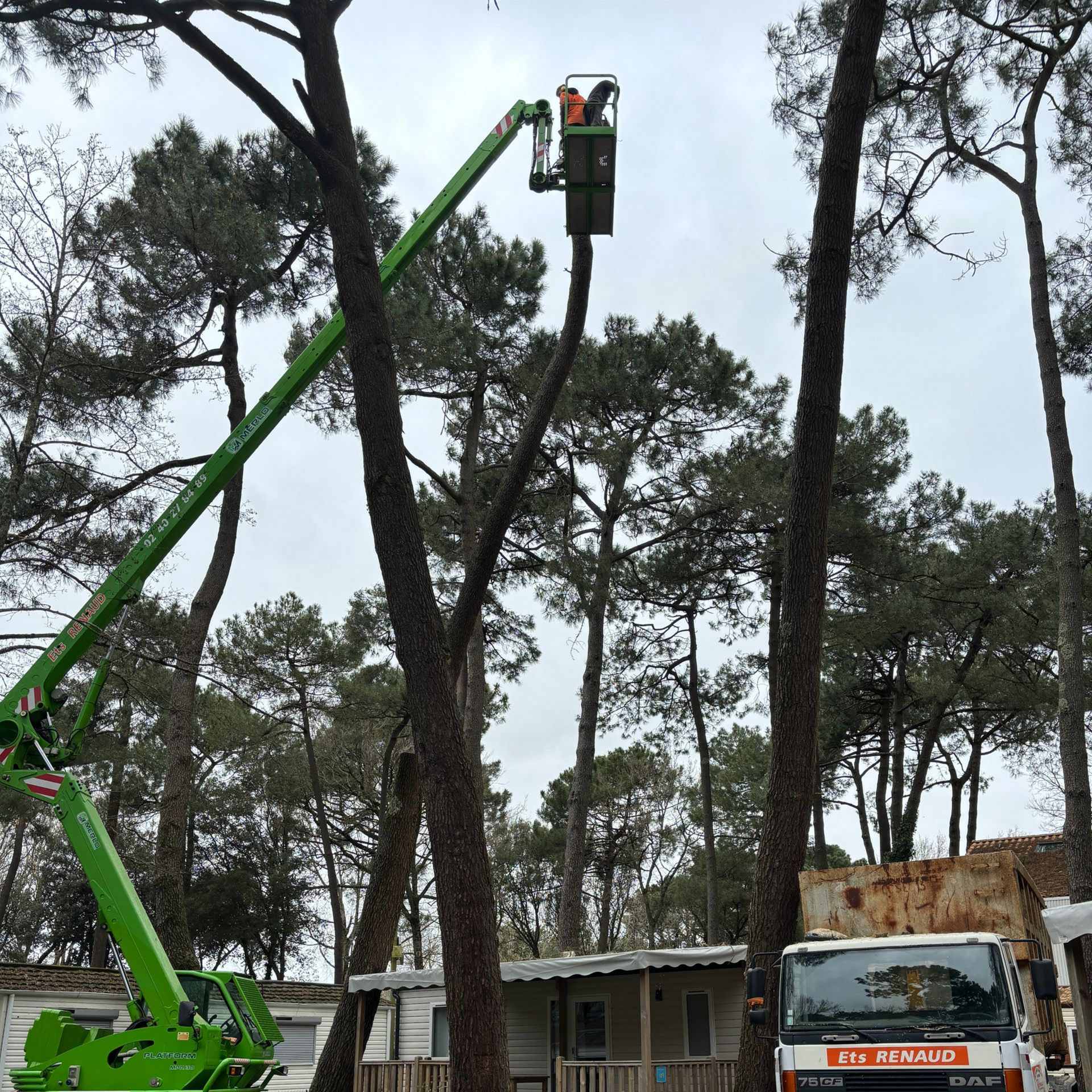 Nacelle verte avec un ouvrier qui élague des branches d'arbre. Cabine en arrière-plan, ciel nuageux.