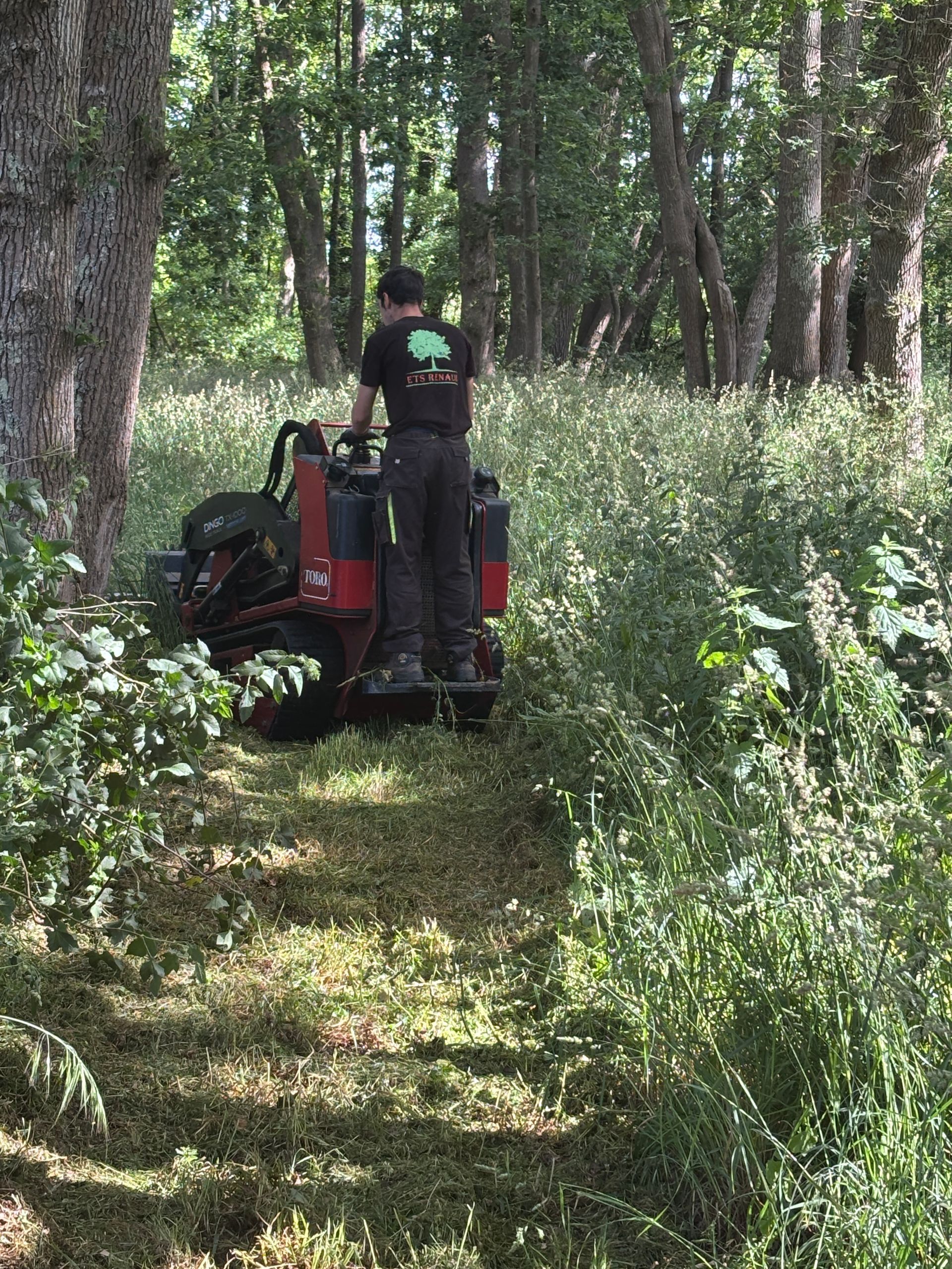Un homme utilise une débroussailleuse dans une zone boisée et herbeuse, traçant un chemin.
