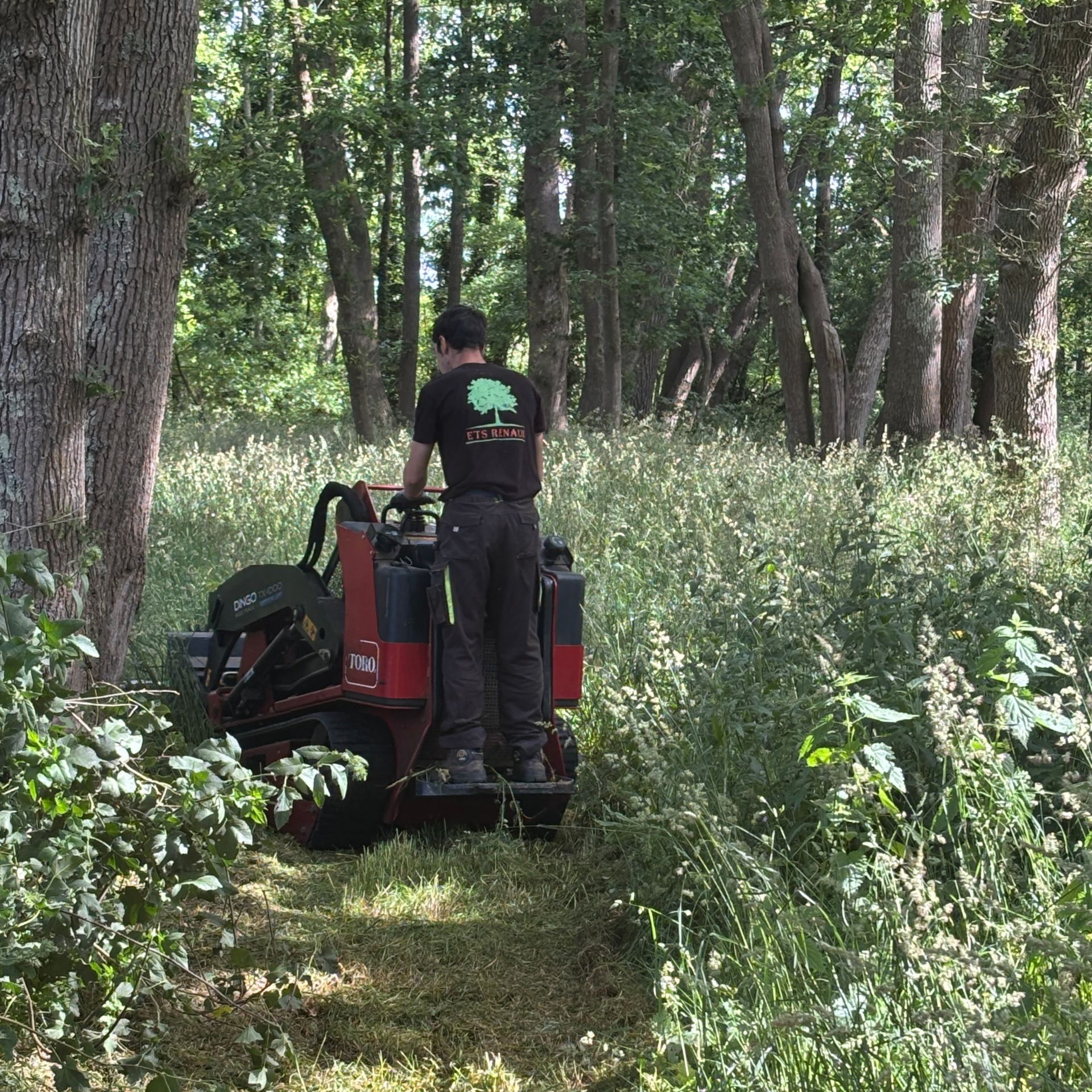 Une personne maniant une tondeuse à gazon rouge, coupant de l'herbe haute dans une zone boisée.