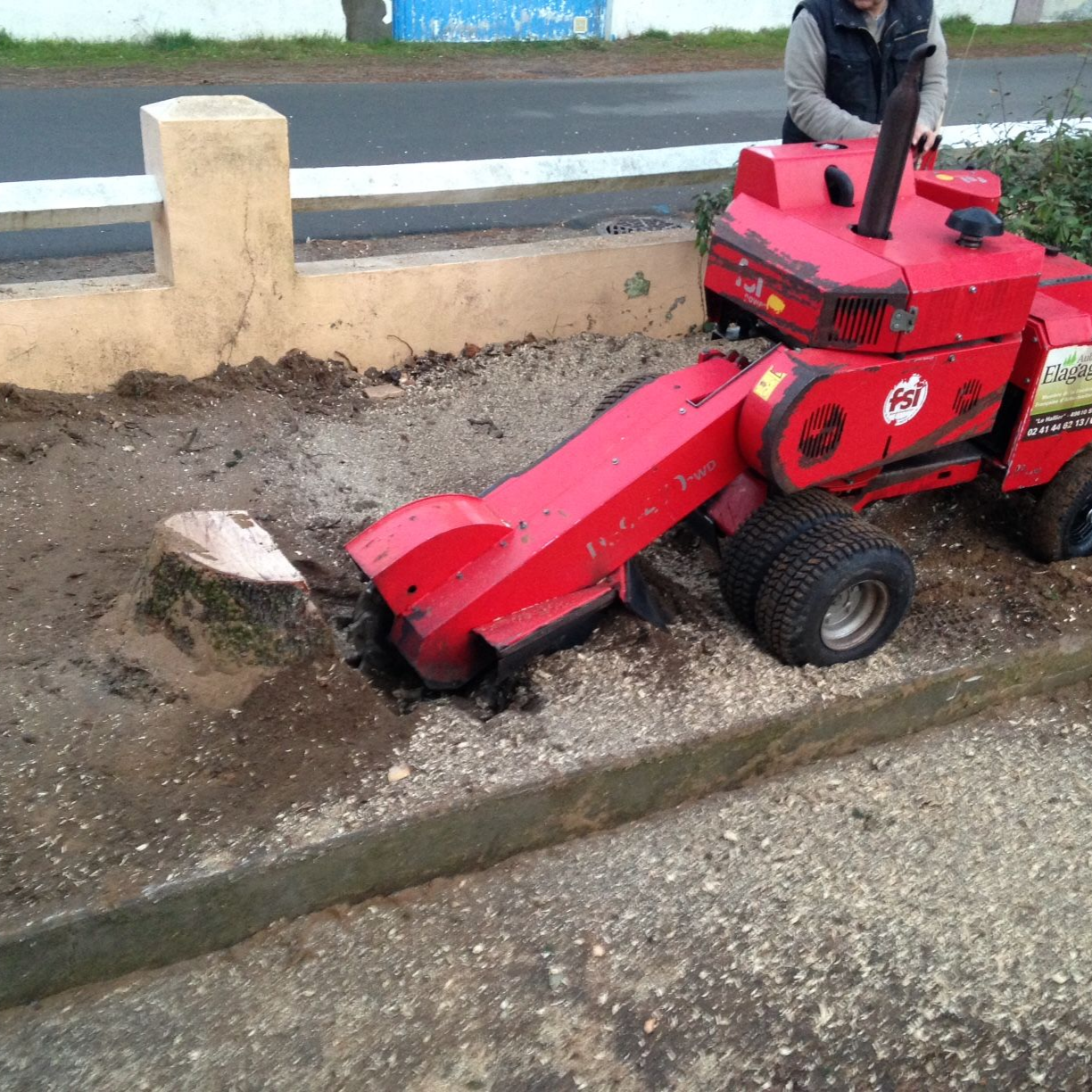 Une dessoucheuse rouge enlève une souche d'arbre près d'un trottoir.