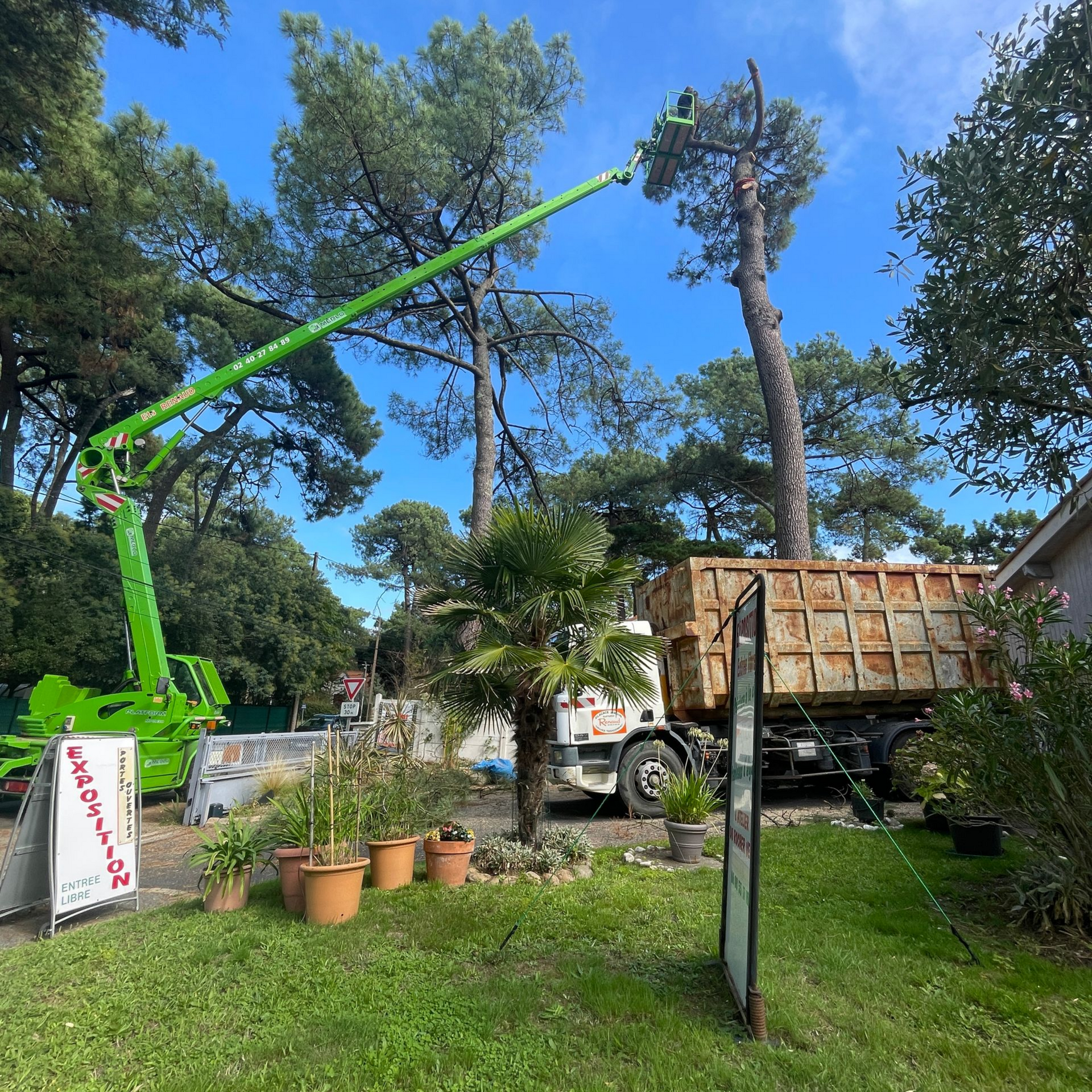 Une grue verte est en train de couper un grand arbre ; un camion avec un grand conteneur est présent dans la cour.