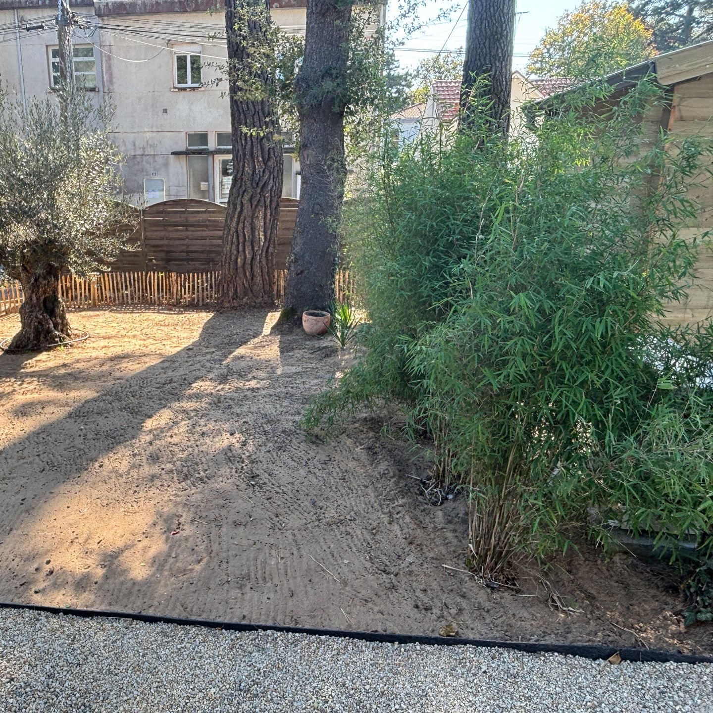 Un jardin sablonneux avec des arbres, des bambous et une clôture en bois. Des bâtiments sont visibles à l'arrière-plan.