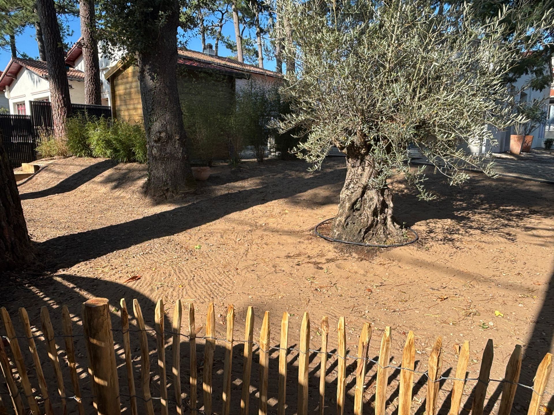 Une cour avec une clôture en bois, un sol en terre battue, des arbres et des bâtiments en arrière-plan.