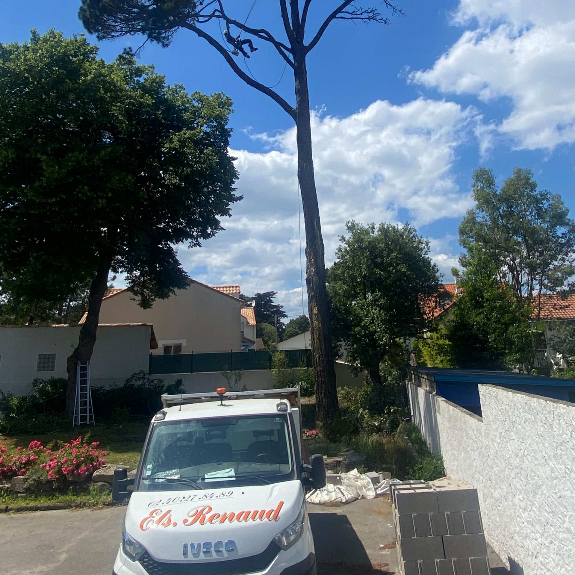 Un camion blanc portant l'inscription Ets. Renaud est stationné près d'un grand arbre en cours d'élagage.