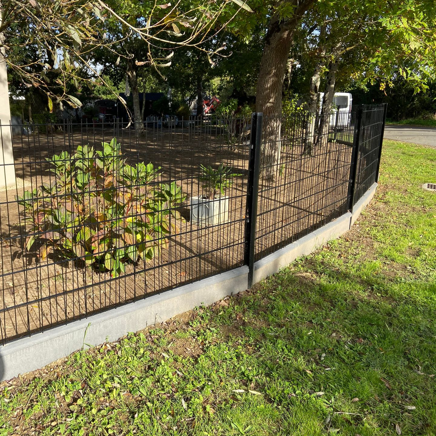 Une clôture en métal noir sur socle en béton entoure un petit jardin près d'un arbre et d'une pelouse verte.