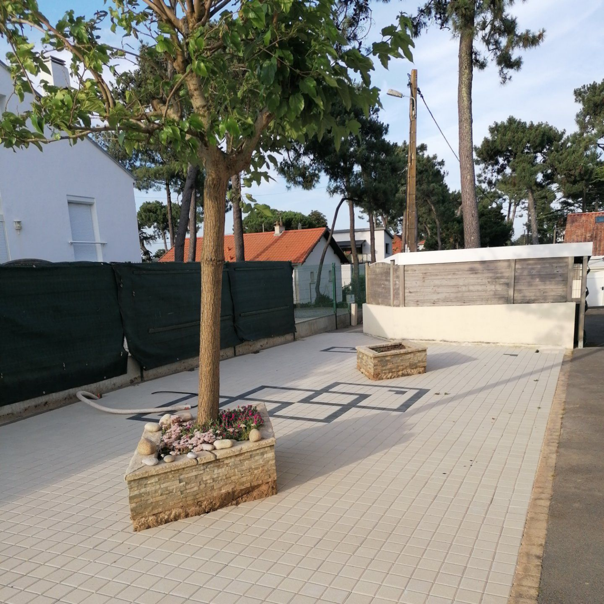 Un arbre dans une jardinière en pierre sur une zone pavée, bordée par une clôture et des maisons.