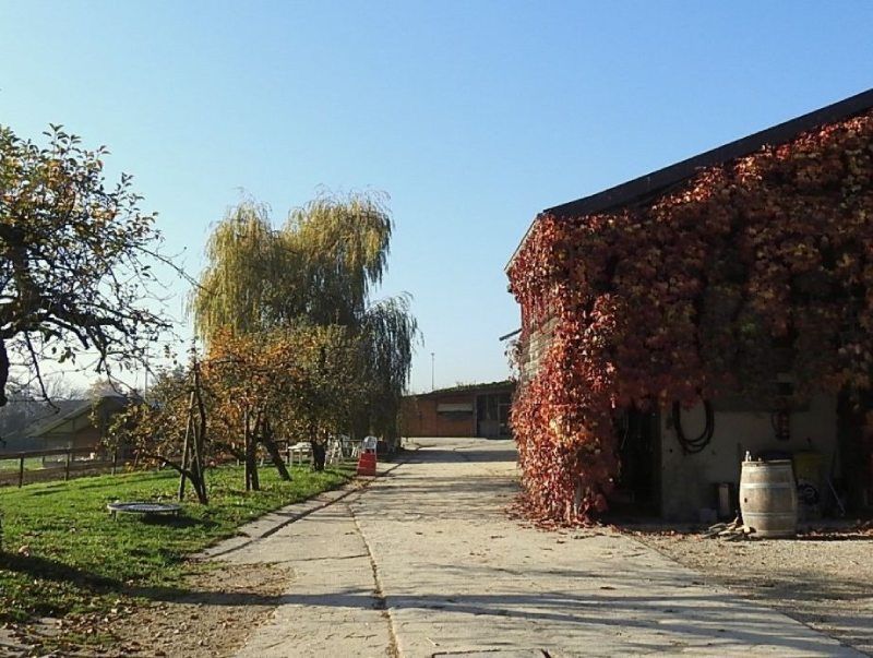 Laurence De Rham - nous contacter