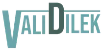 Validilek