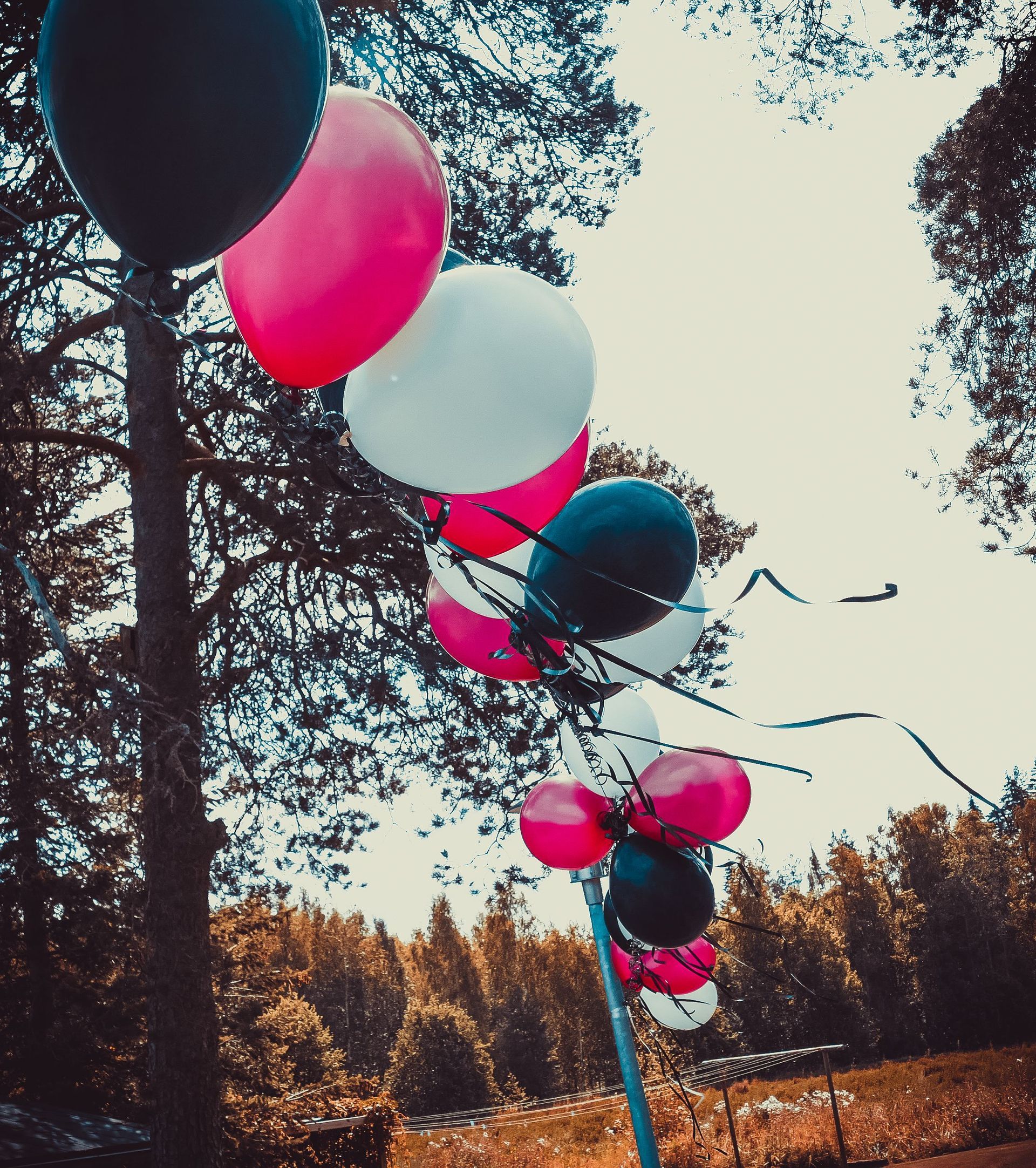 Kristillinen Suojakoti-säätiö rekisteröity säätiö