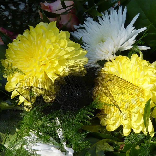 Des fleurs blanches et jaunes