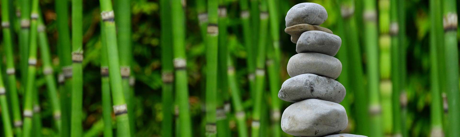 Pile de pierres devant des bambous