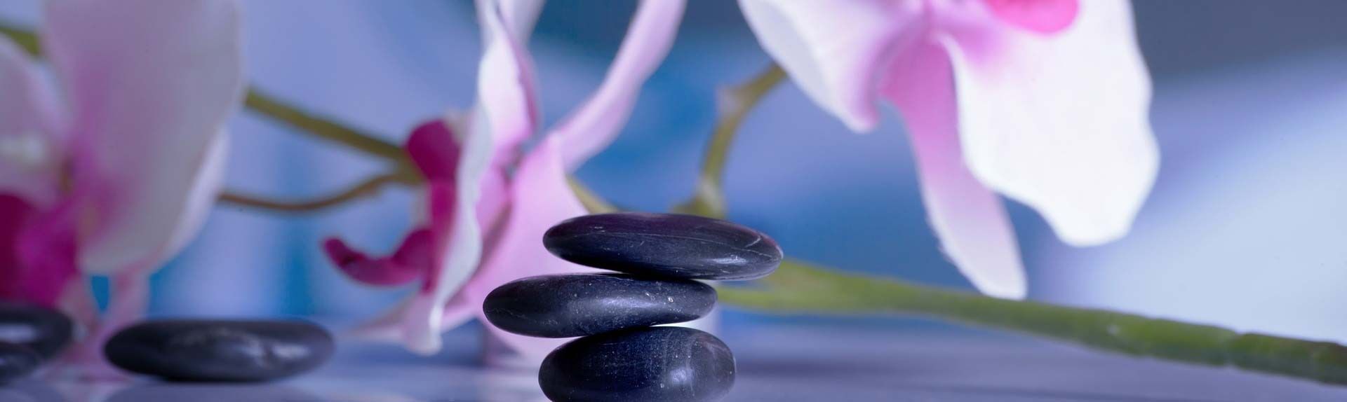 Des galets et des fleurs