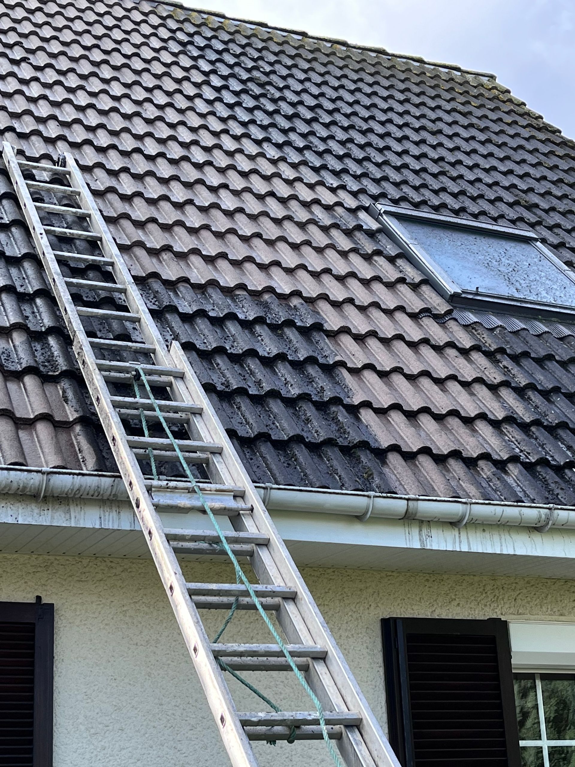 Démoussage de tuiles et échelle sur la toiture