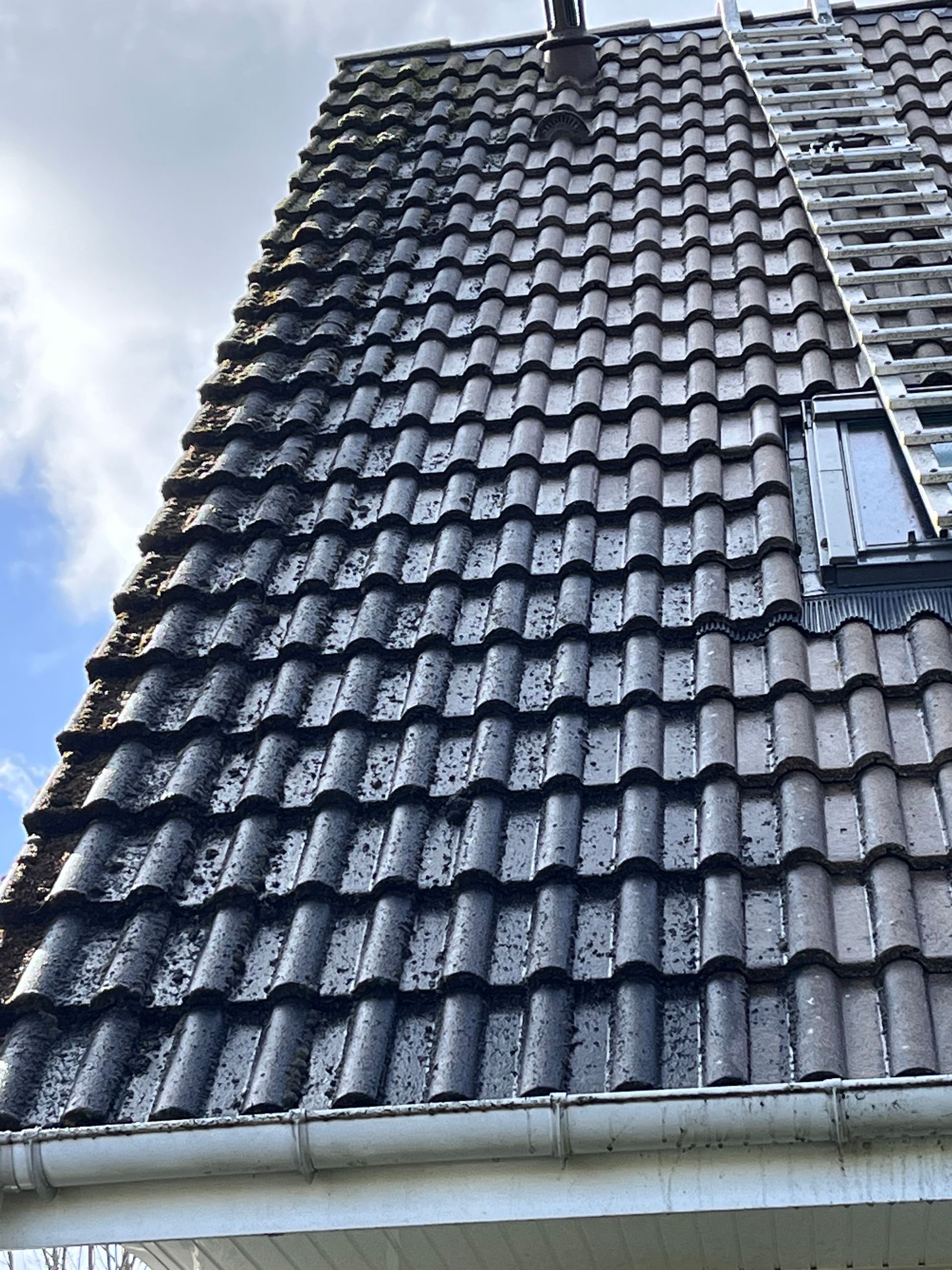 Nettoyage de tuiles noires