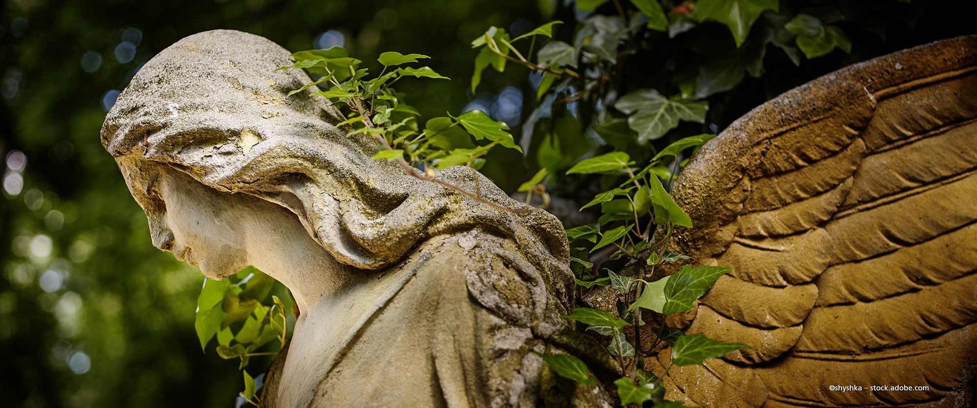 Person legt eine Hand auf einen Sarg und hält in der anderen Blumen