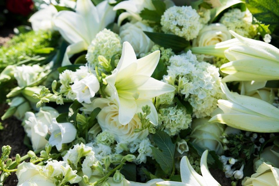 Trauerblumen