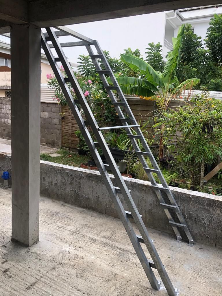 Une échelle métallique est appuyée contre le bord d'une terrasse en béton surélevée, dans un jardin.