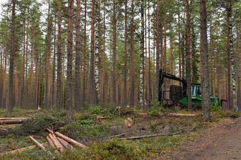 koneurakointiurpilainen