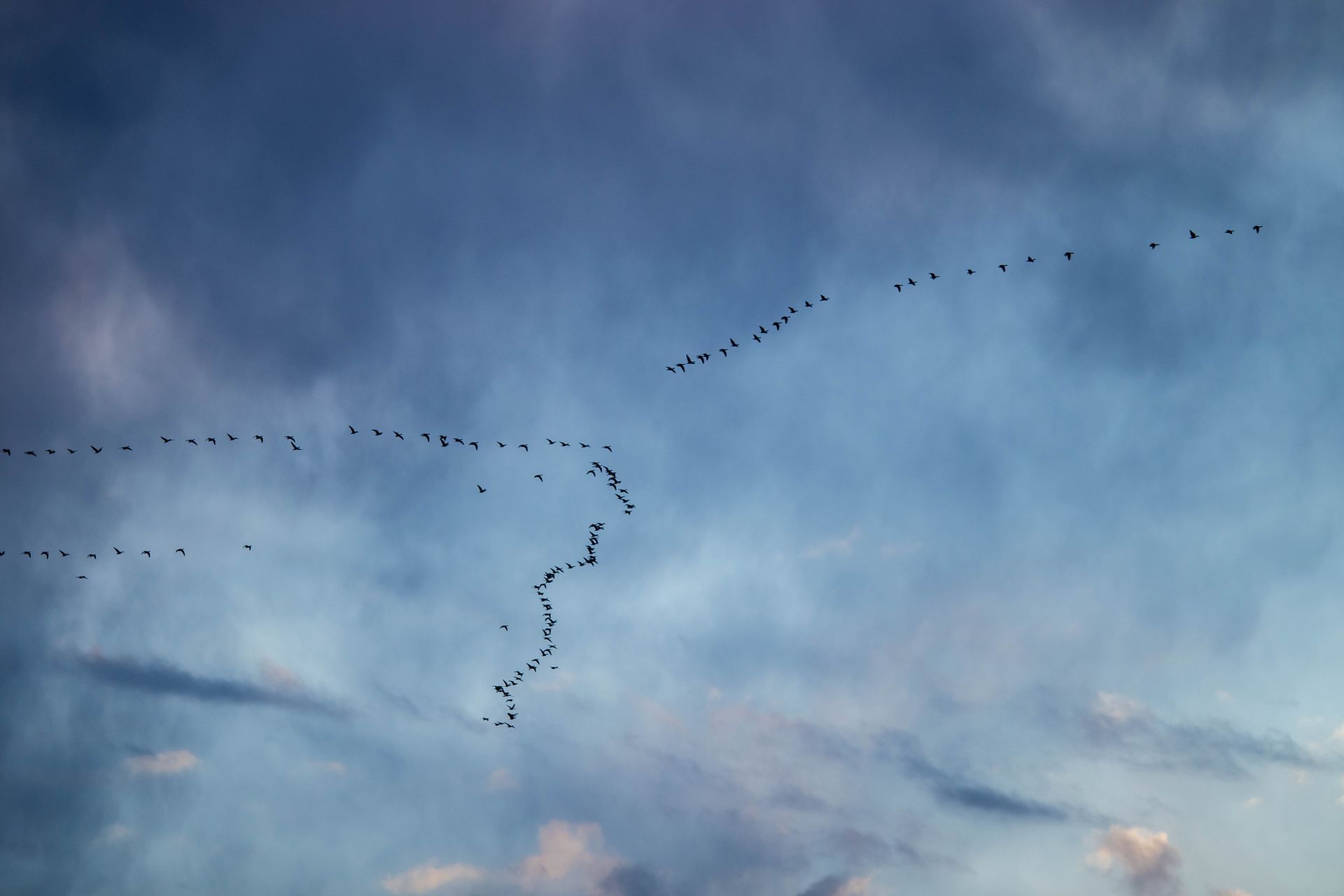 Eine Luftaufnahme einer grünen Wiese mit Windrädern in der Ferne.