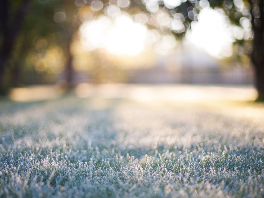 Heiniger's Gartenteam