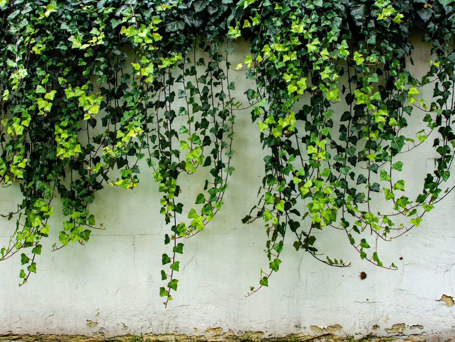 Heiniger's Gartenteam