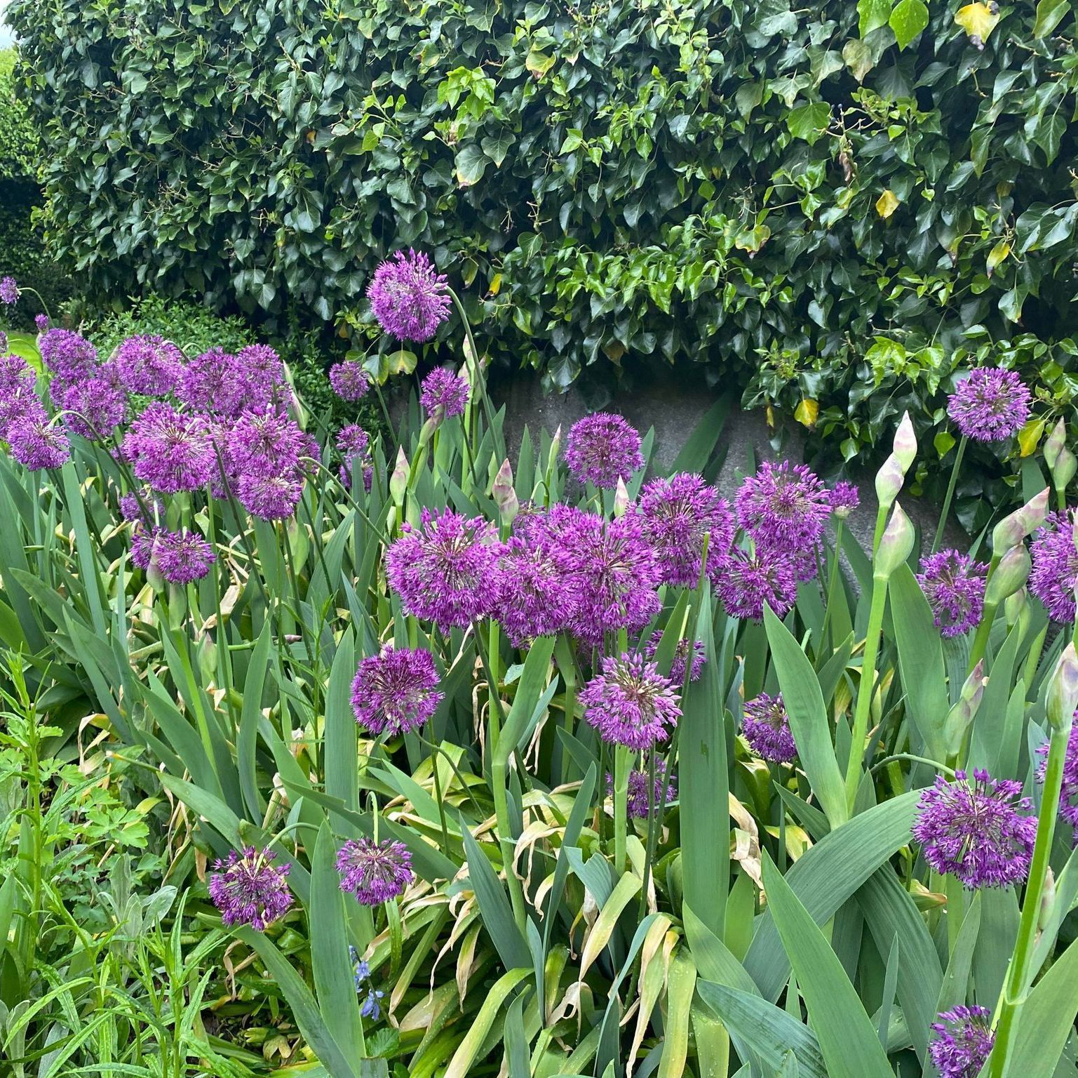 Heiniger's Gartenteam
