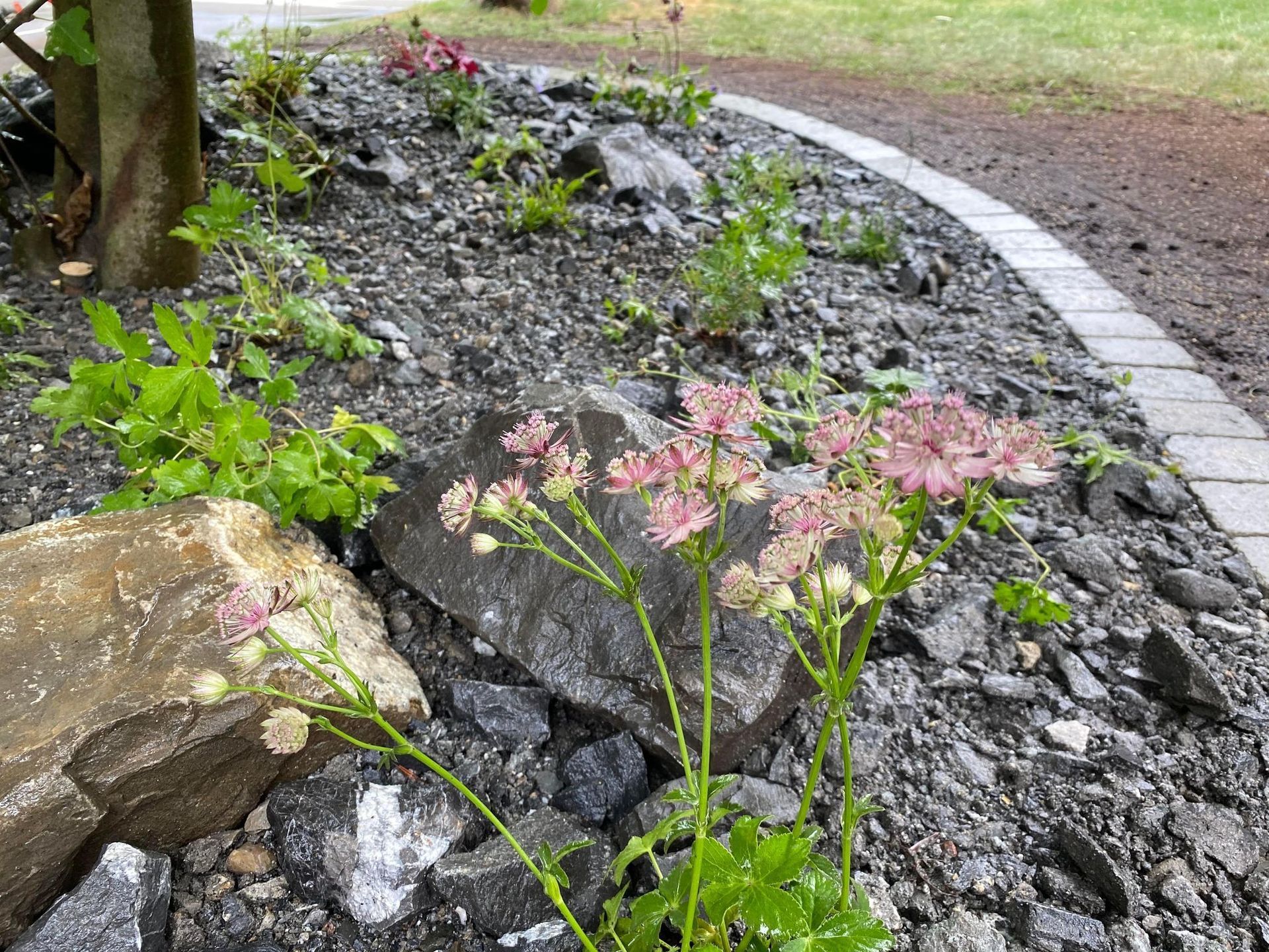 Heiniger's Gartenteam