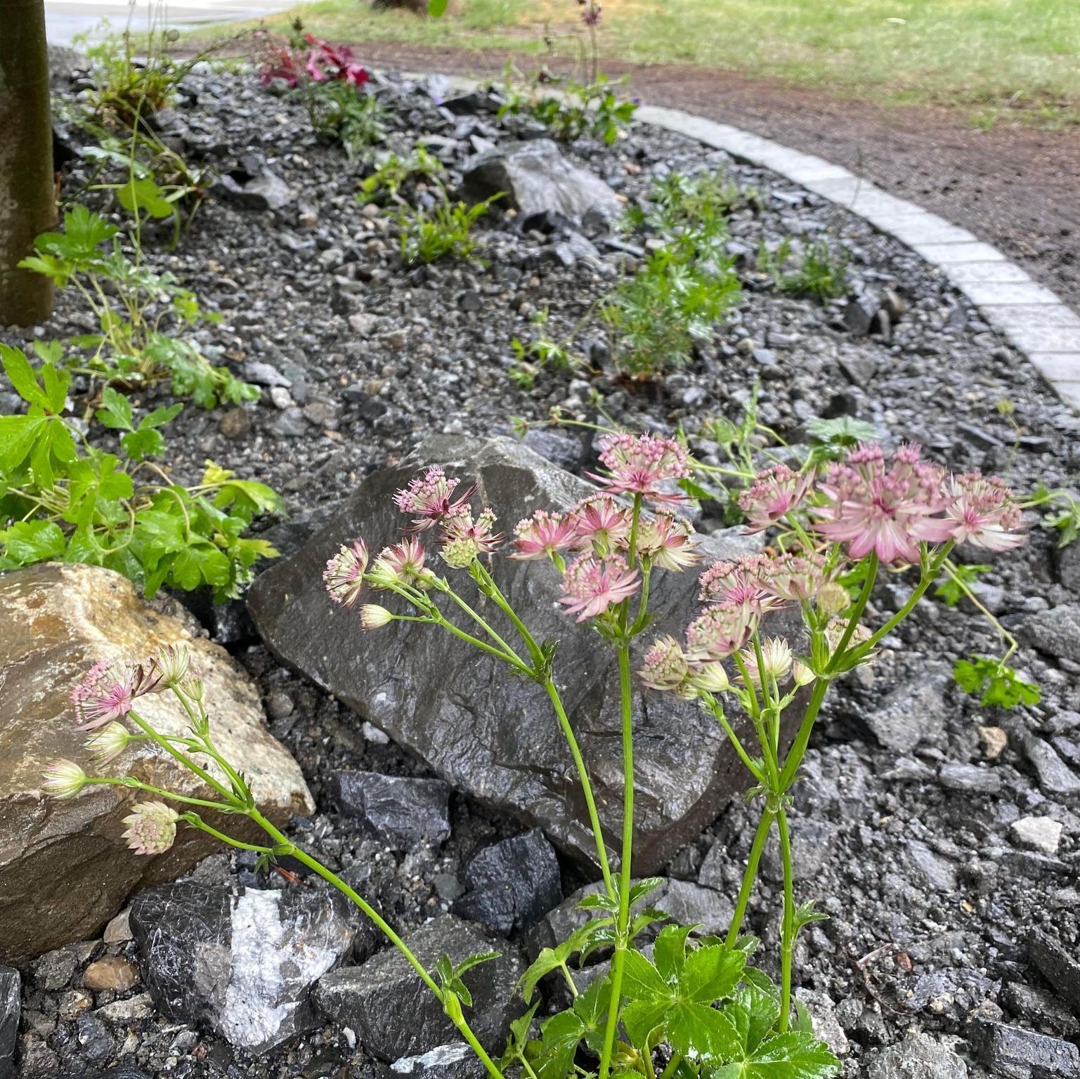 Heiniger's Gartenteam
