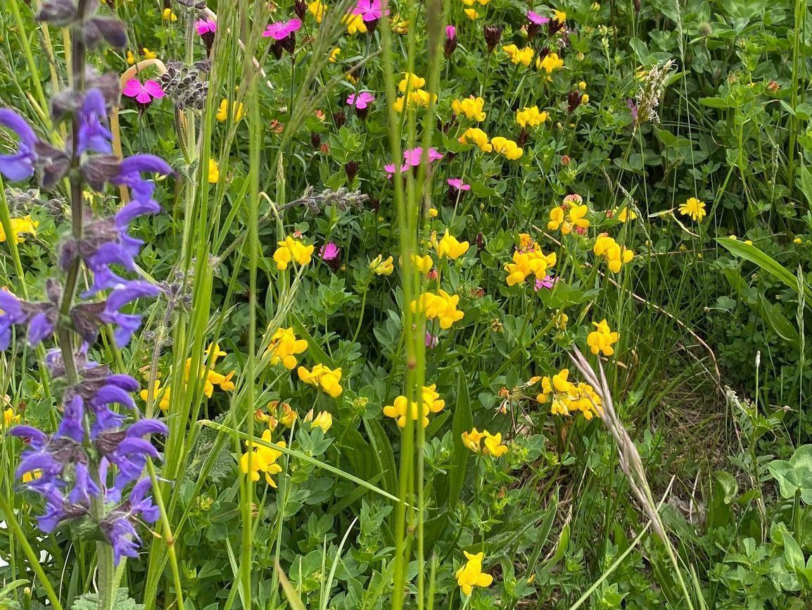 Heiniger's Gartenteam