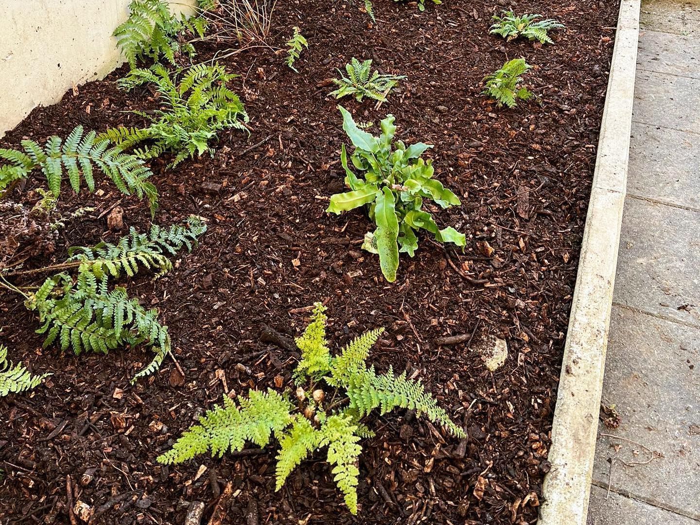 Heiniger's Gartenteam