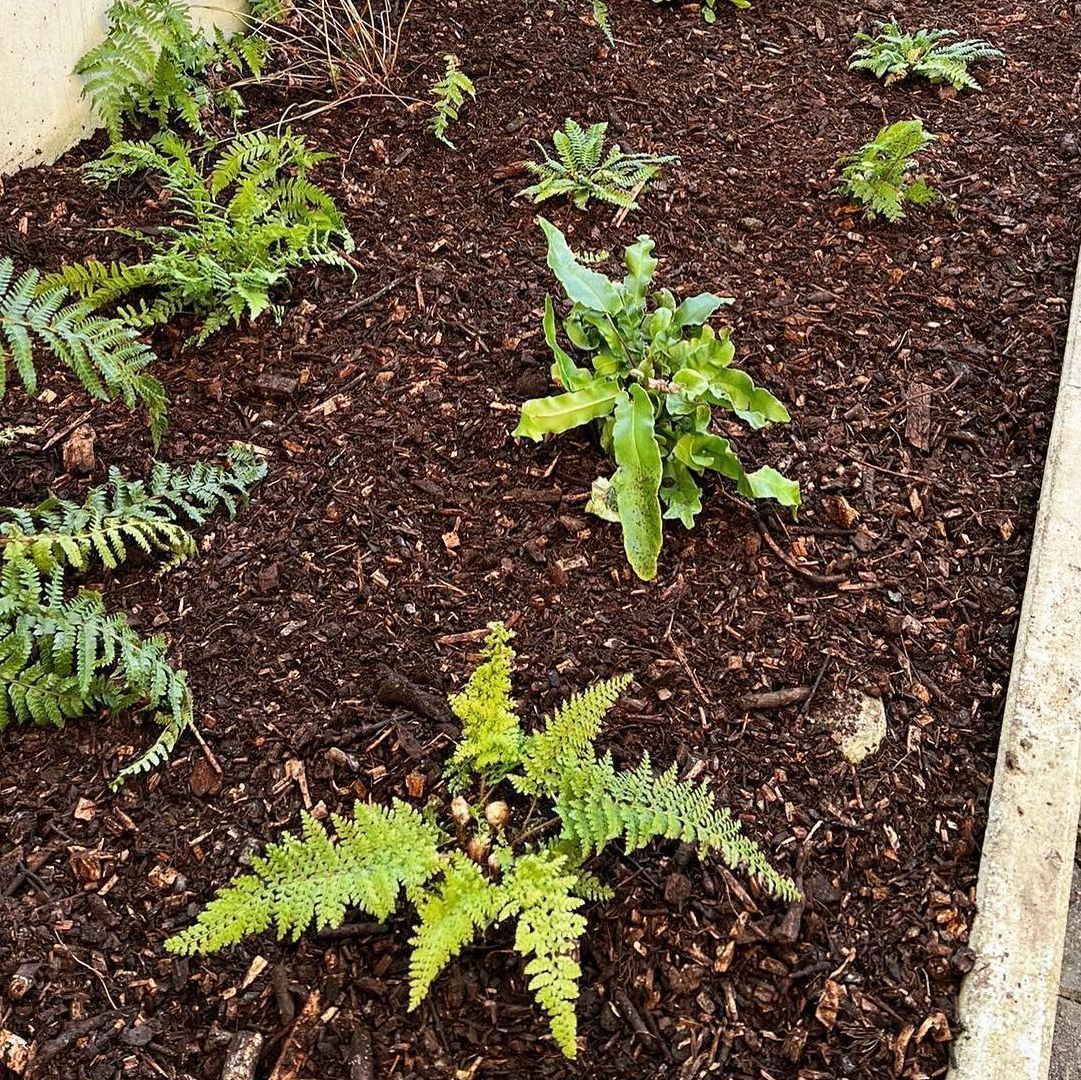 Heiniger's Gartenteam
