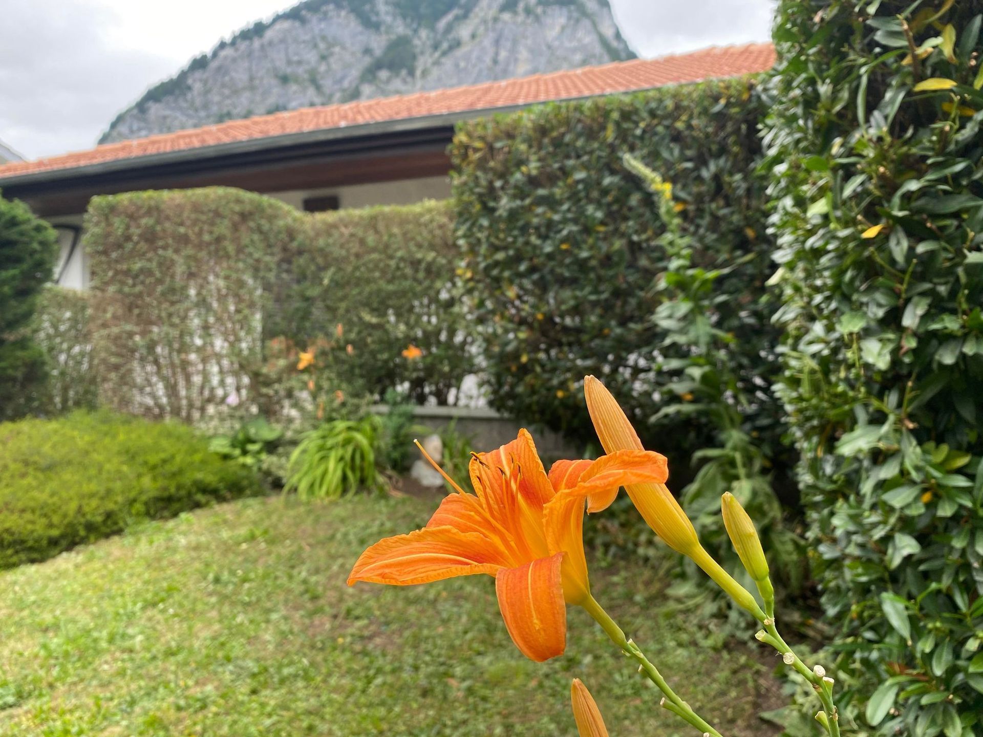 Heiniger's Gartenteam