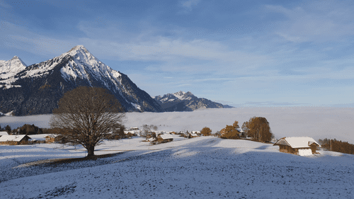 Winter Garten Bepflanzung Anbau Gartenpflege Gartenbau Pflanzenschutz