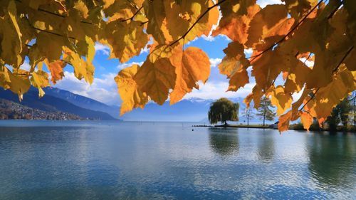 Herbst Garten Bepflanzung Anbau Gartenpflege Gartenbau Pflanzenschutz