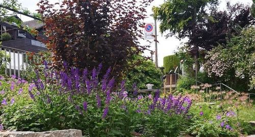 Frühling Garten Bepflanzung Anbau Gartenpflege Gartenbau Pflanzenschutz