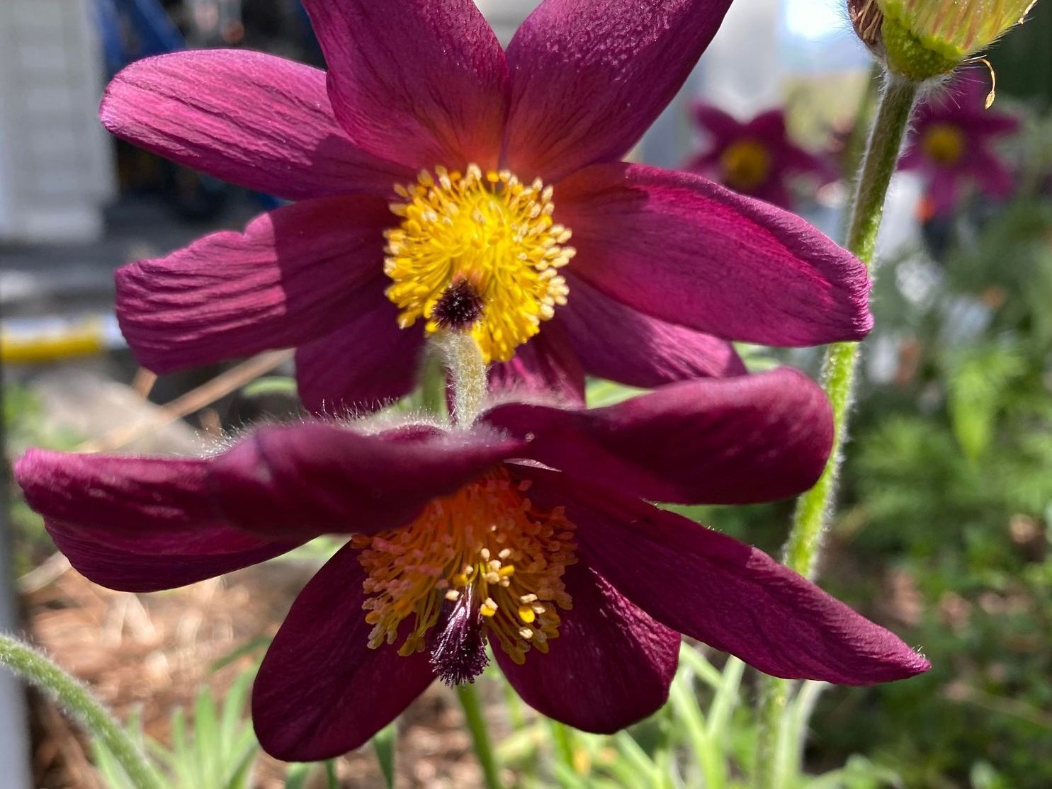 Heiniger's Gartenteam