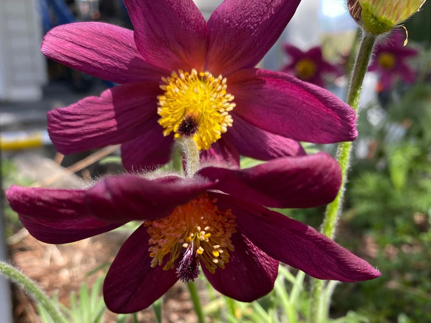 Heiniger's Gartenteam
