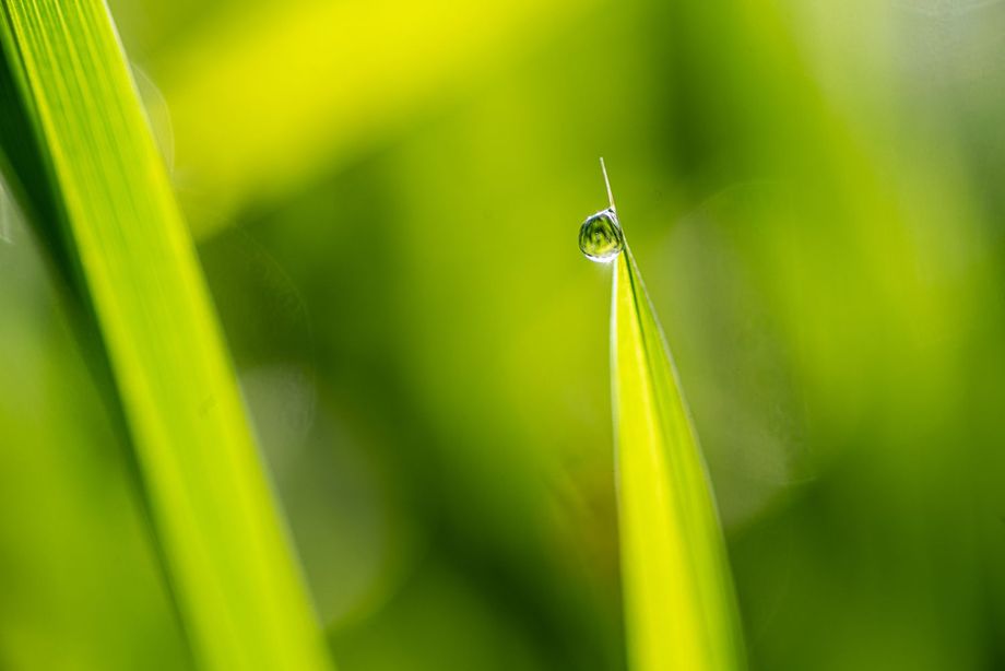 Heinigers Gartenteam GmbH
