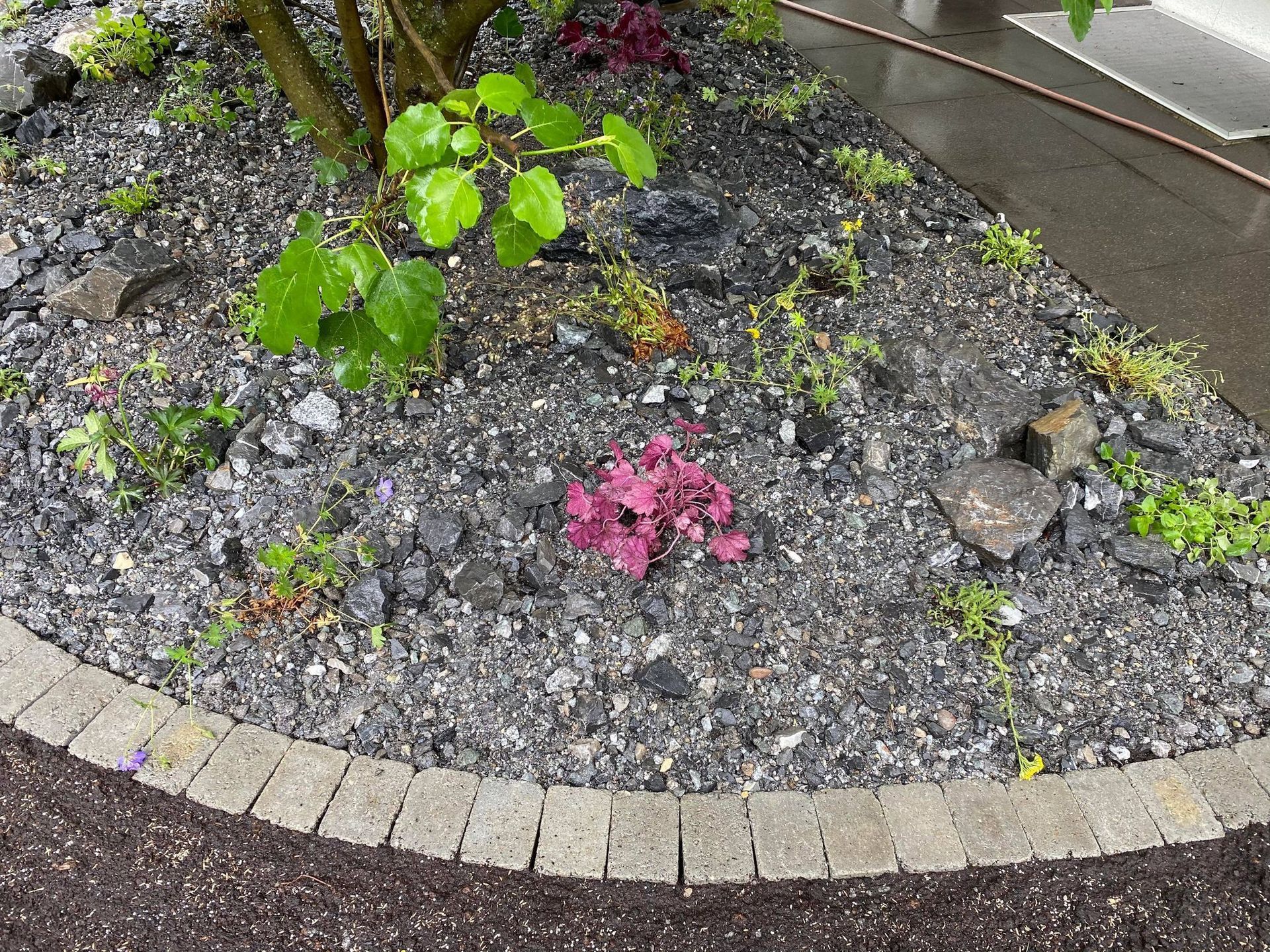 Heiniger's Gartenteam