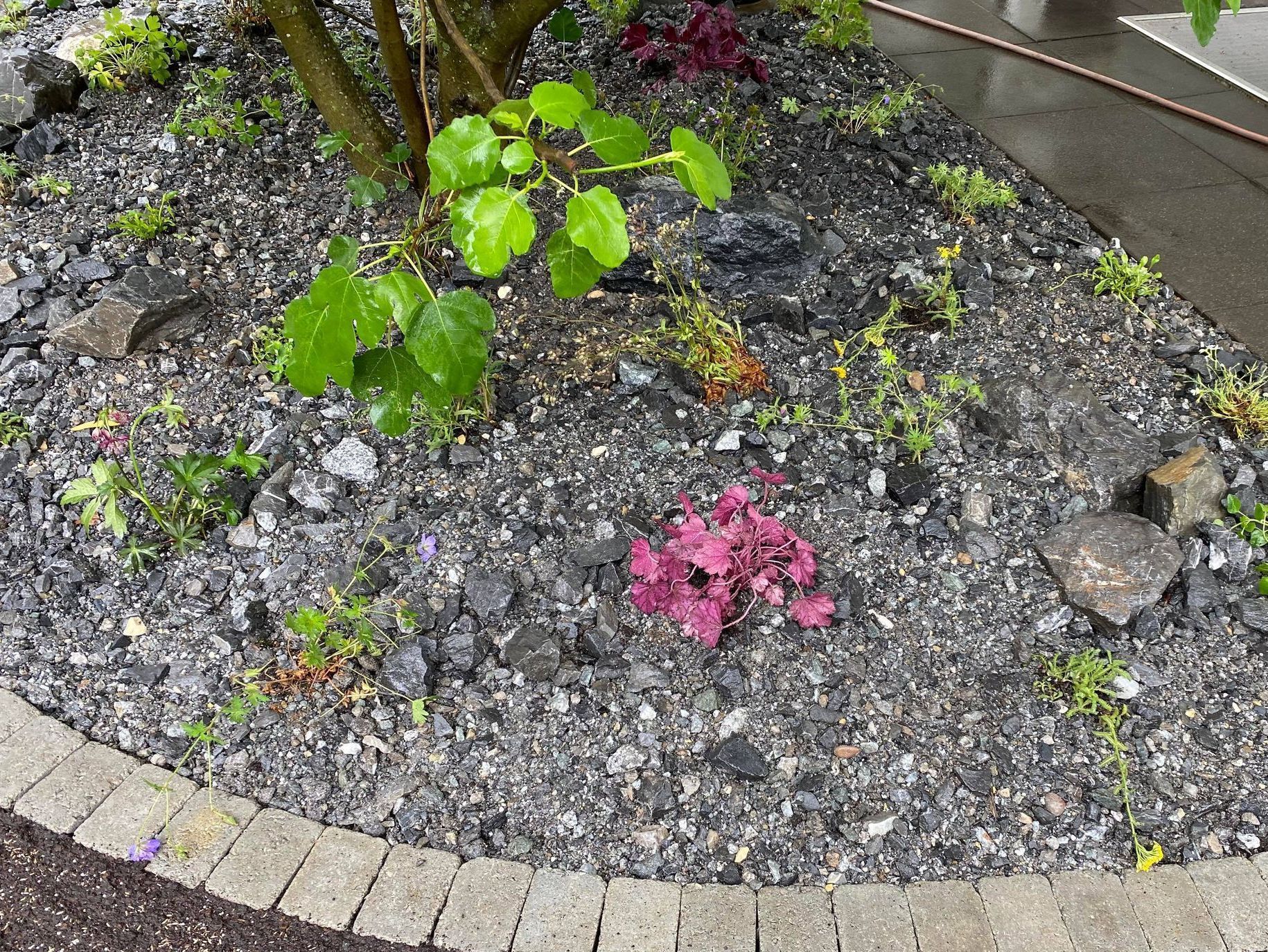 Heiniger's Gartenteam
