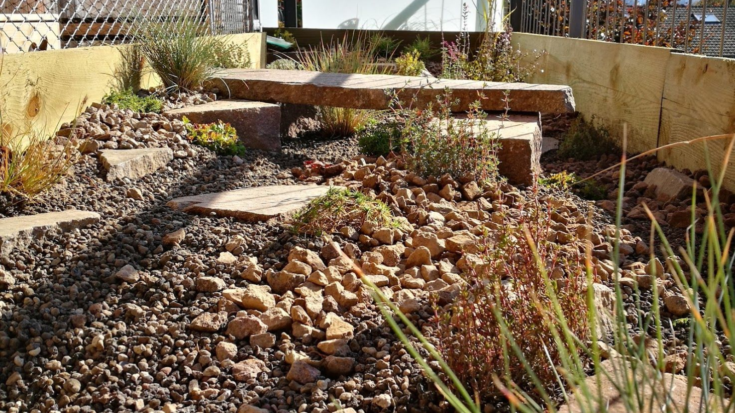 Schildkrötengehege empfehlung vom Schildkröteninteressensgemeinschaft Schweiz https://www.sigs.ch/