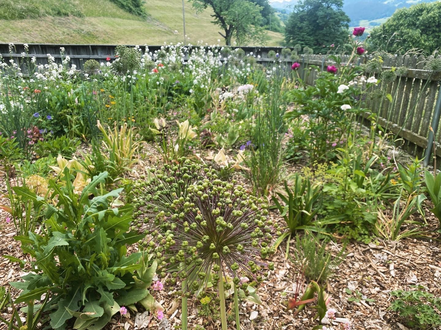 Heiniger's Gartenteam