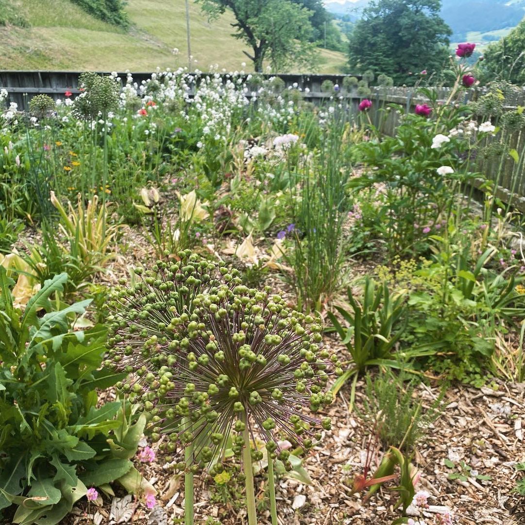 Heiniger's Gartenteam
